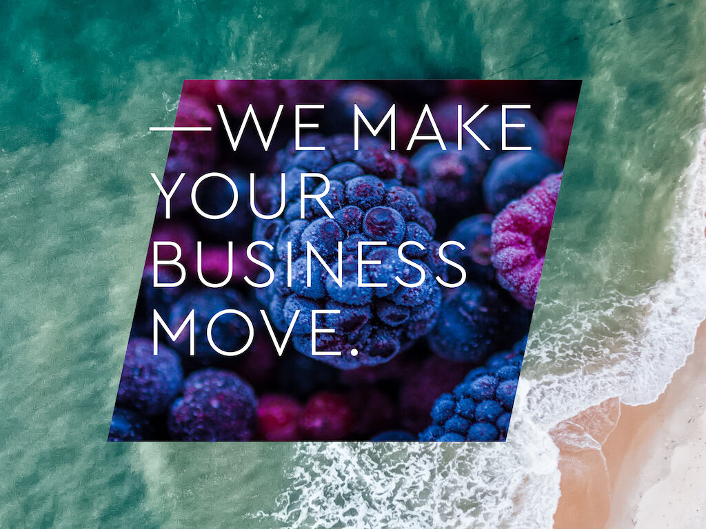 MD Web Cases Ammega 190705 5