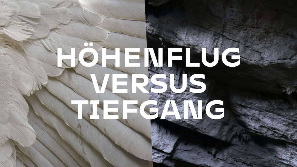 MD ZUR Web Case LFE 221103 9