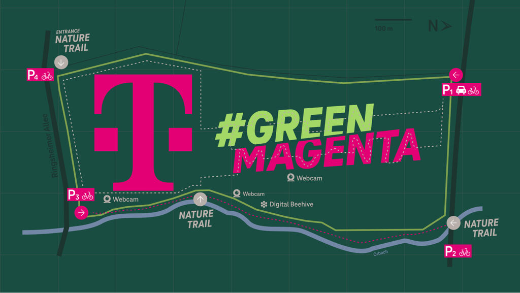 Manegta blossom Feld