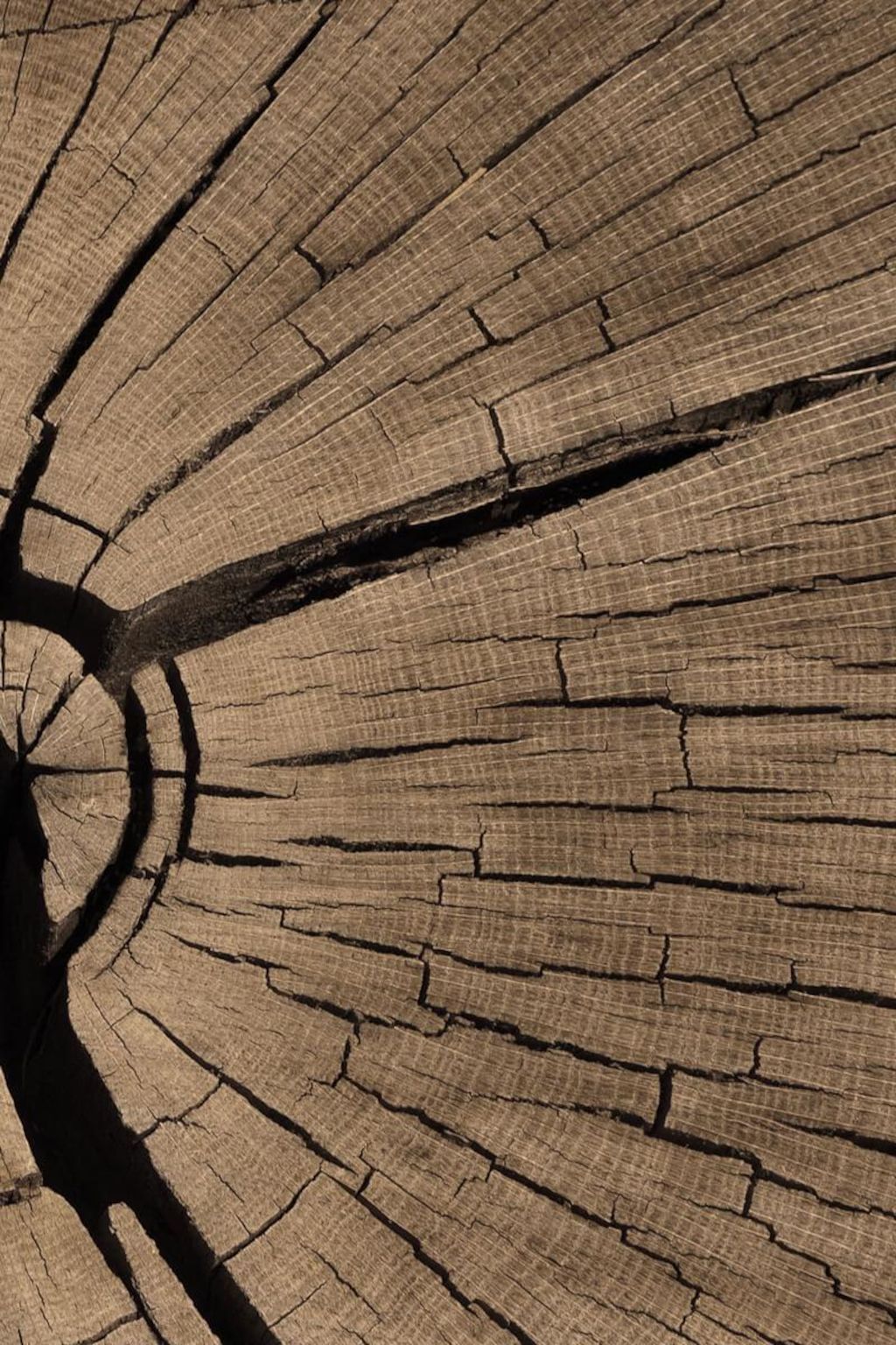 Metadesign Morel Woodvisual