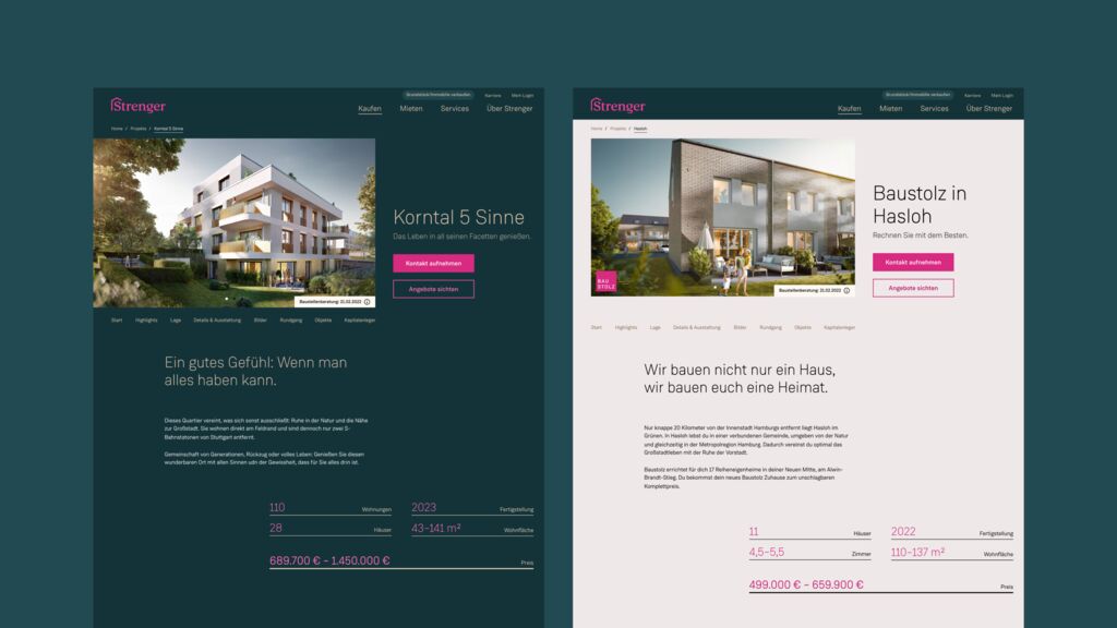 19 Strenger website desktop